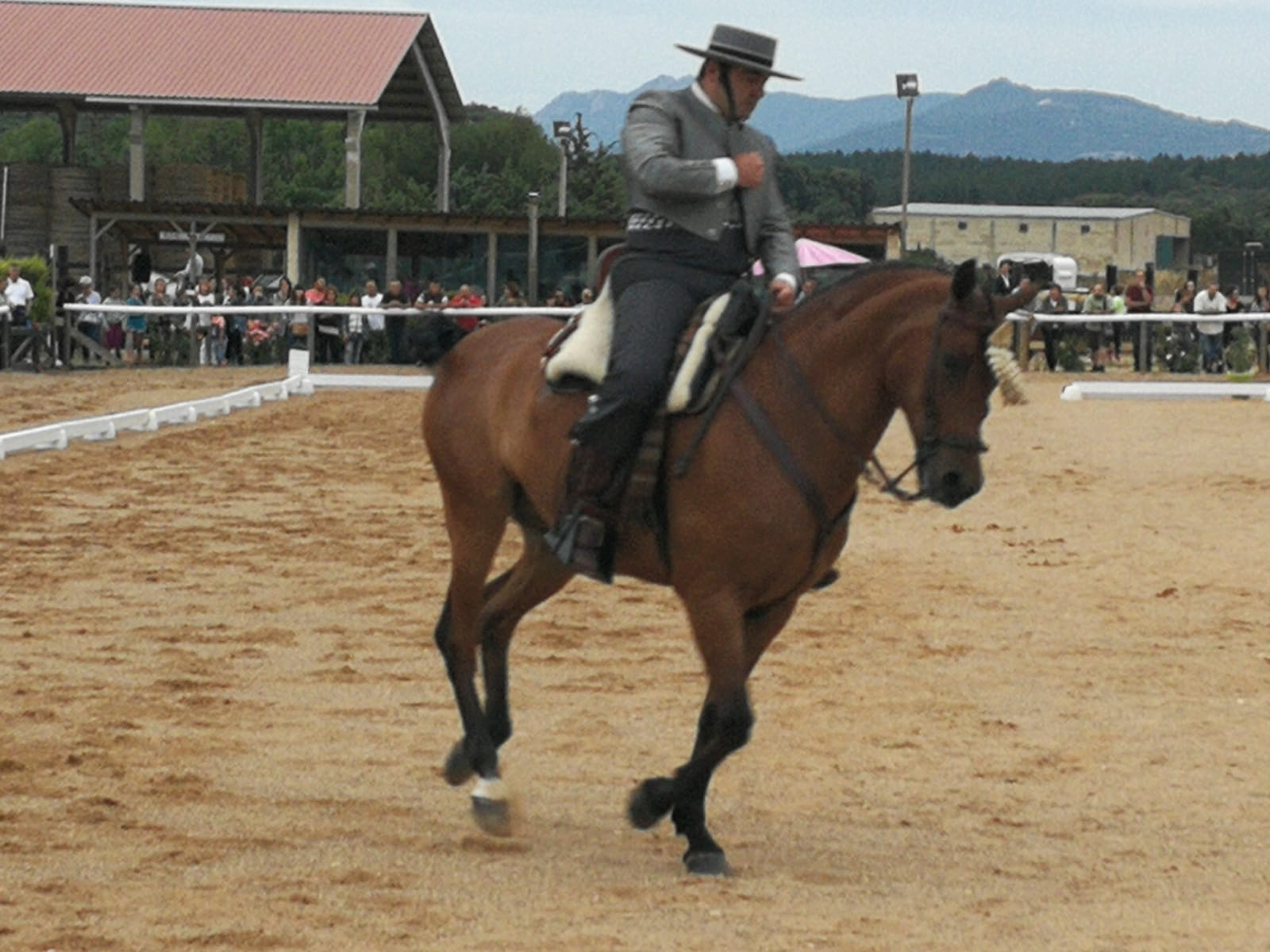 Final del Campeonato Navarro de Doma Vaquera 2018 en Acedo